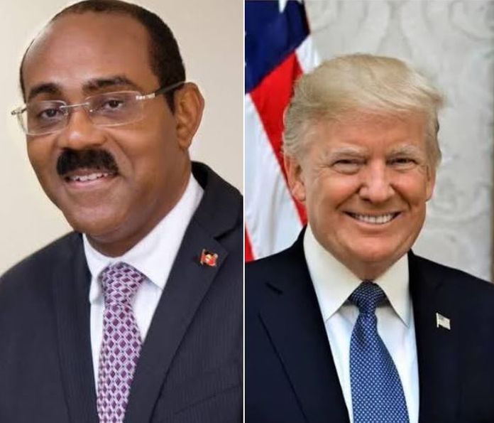 browne_trump