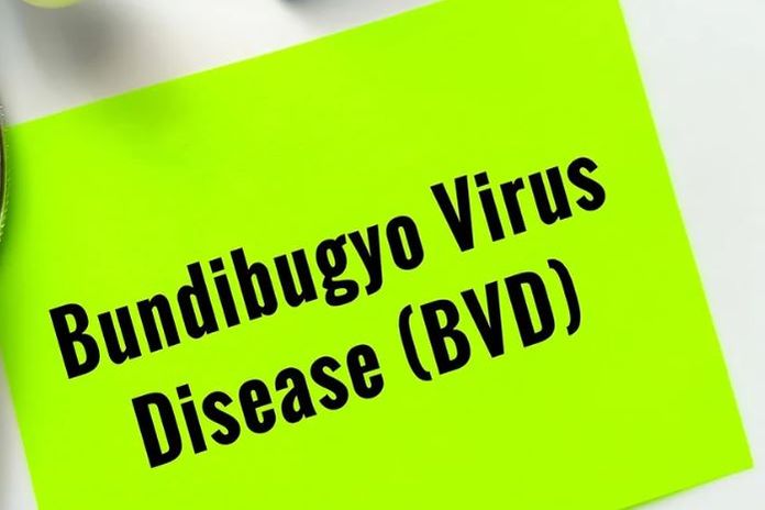 bvd_who